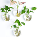 Kingbuy Egg Shaped for Propagating Hydroponic Plants 4 Pack Wall Planter | by Kingbuy
