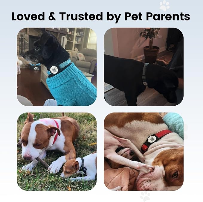 for AirTag Dog Collar Holder, Waterproof Smart QR Code Holder - Image 8