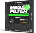 PuroAir MegaFilter by PuroAir
