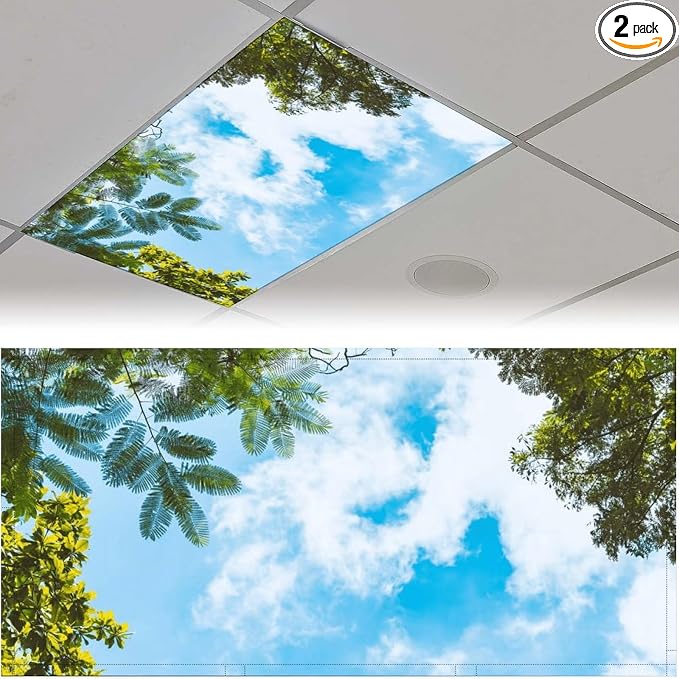 2PCS Fluorescent Light Covers for Classroom Ceiling Lights Magnetic Light Covers by Unknown