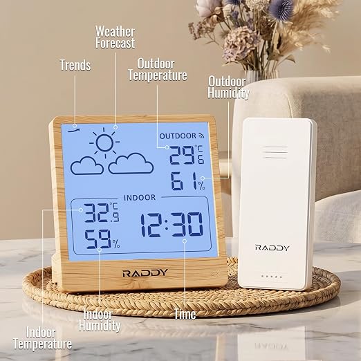 Raddy WF-50T Indoor Outdoor Thermometer Hygrometer Wireless Weather Station - Image 2