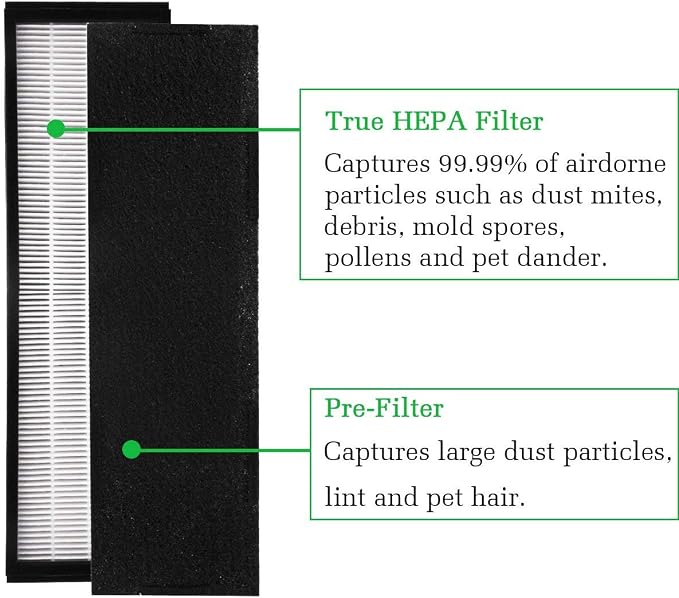 Filter C Replacement Guardian FLT5250PT, Hepa Filter - Image 2