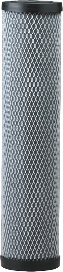 Pentair Pentek C1-20BB Big Blue Dual Purpose Carbon Water Filter, Powdered by PENTAIRPENTEK