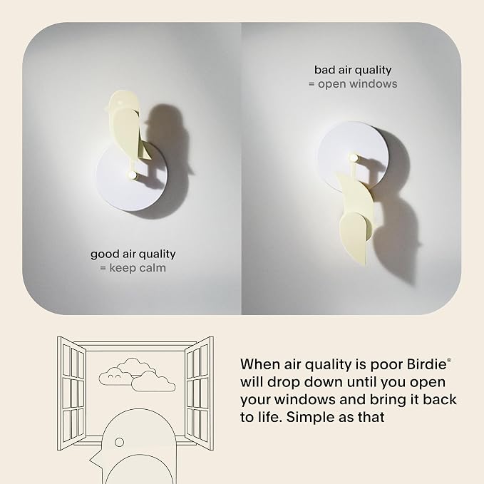 Birdie 2.0 - Design Indoor CO2 Monitor - Air Quality Monitor & CO2 Sensor - Image 3