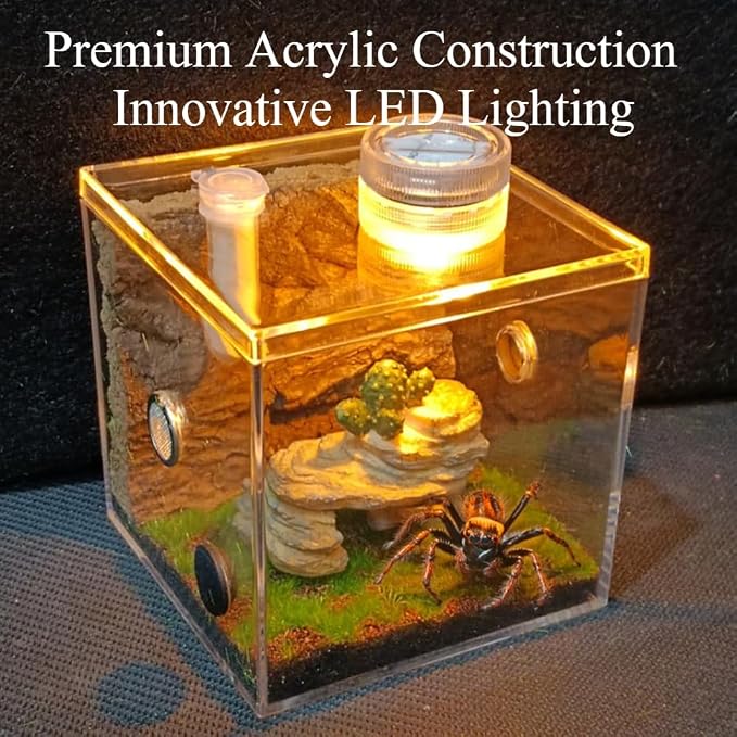 Jumping Spider Habitat LED-Lit Acrylic Enclosure Built-in Scenery Ventilation - Image 3