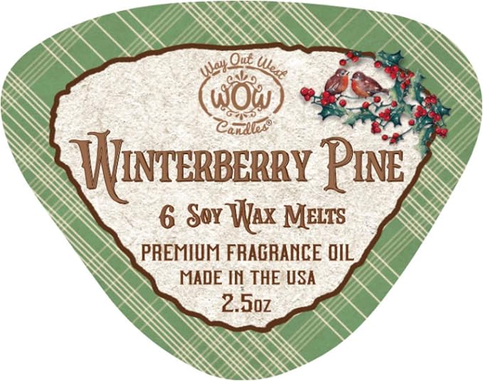 Soy Wax Melts Variety Pack of 4 – Winterberry Pine & Hot Apple Cider – Strongly - Image 3