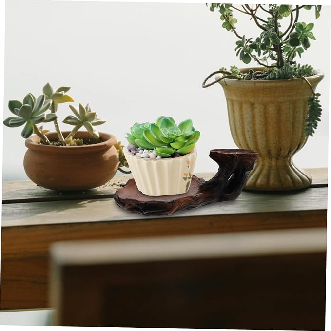 Carved Plant Stand Decorative Hydroponic Base - Image 6