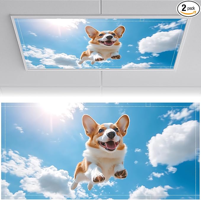 2 Pack Fluorescent Light Covers 4x2 ft Magnetic Light Covers by seewan