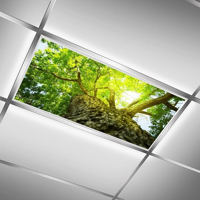 2PCS Fluorescent Light Covers for Classroom Ceiling Lights Magnetic Light Covers - Image 2