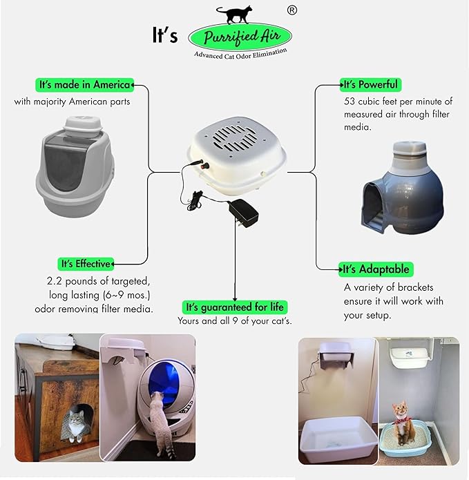 Product Bundle D - Image 2
