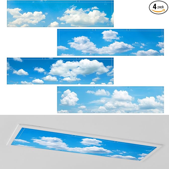 4 Pcs 1 x 4 Feet Fluorescent Lights Covers Magnetic Ceiling Light Cover by Wowangce