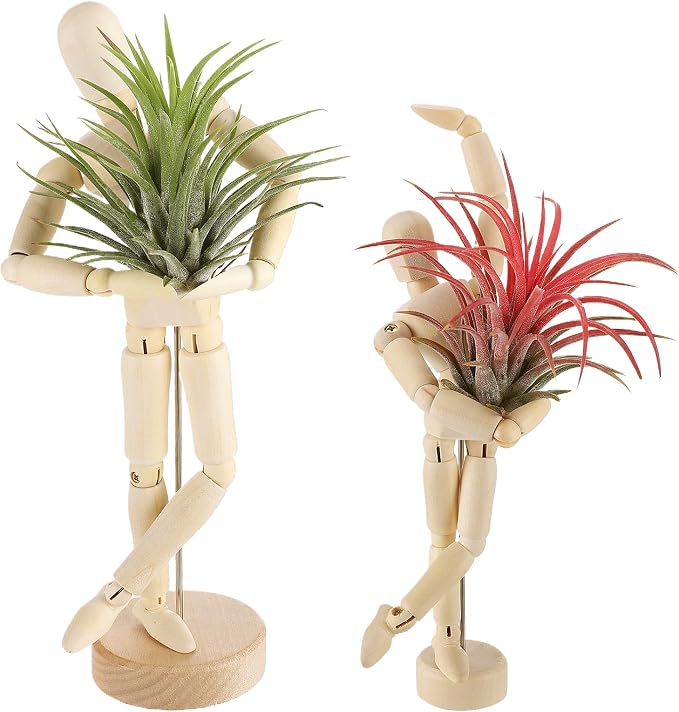 ANPHSIN 2 Sizes Wooden Air Plant Holder by ANPHSIN