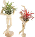 ANPHSIN 2 Sizes Wooden Air Plant Holder by ANPHSIN