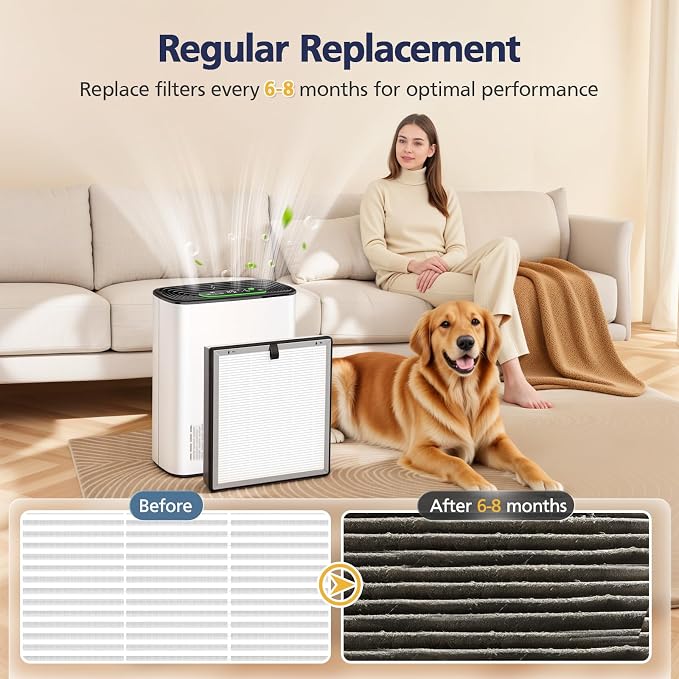 APH3000 Replacement Filter Compatible - Image 6