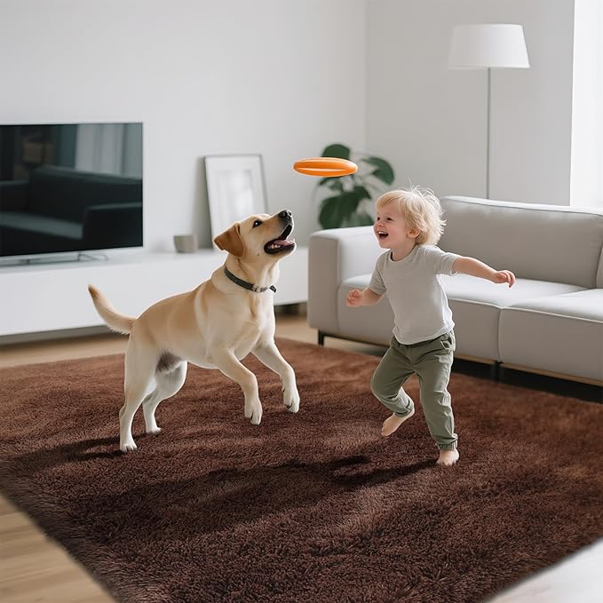Shag Area Rugs for Bedroom Living Room,Brown 4X6 Ultra Soft Fluffy Area Rugs for Dorm, Indoor Carpet Nursery Rugs for Kids Girls Room Home Decor,Brown