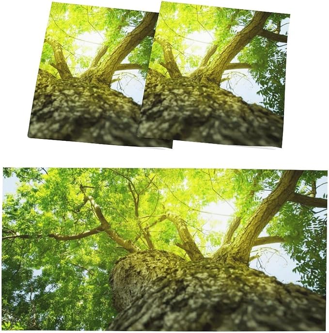 2PCS Fluorescent Light Covers for Classroom Ceiling Lights Magnetic Light Covers - Image 3