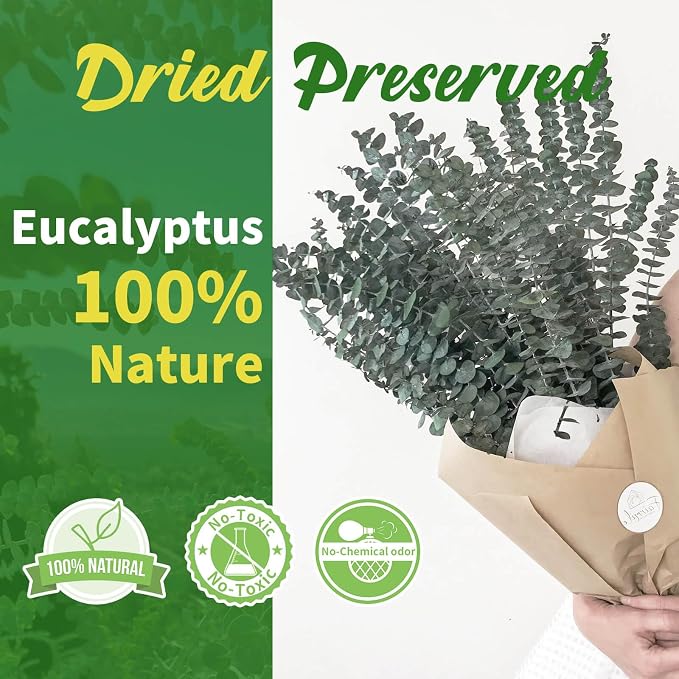 41 PCS Dried Preserved Eucalyptus Bundle - Image 2