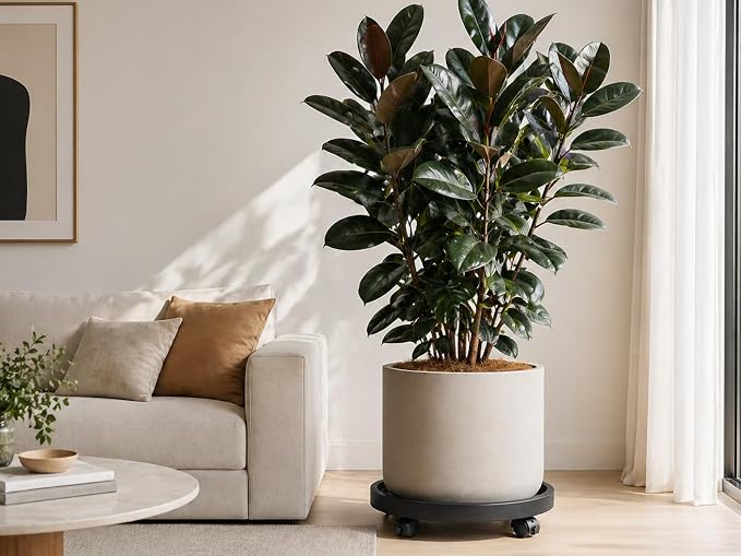 Planterhoma 4 Packs 13 Inch Plant Caddy - Image 7