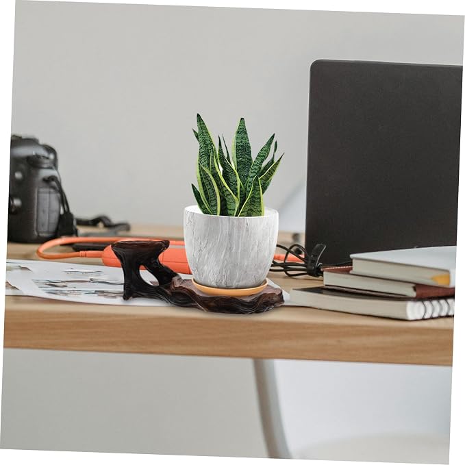 Carved Plant Stand Decorative Hydroponic Base - Image 8