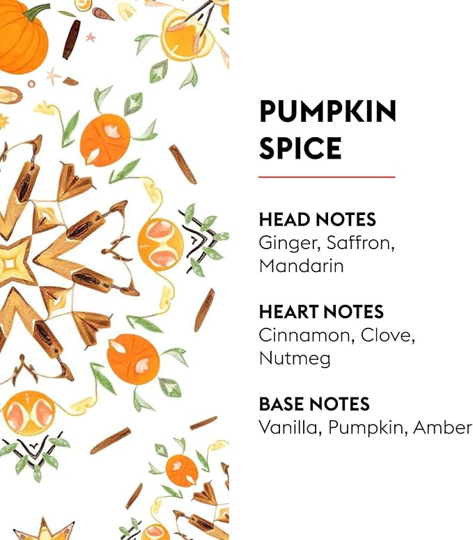 MAISON BERGER Lampe Berger Refill, 1 L, Pumpkin Spice | Catalytic Lamp - Image 2