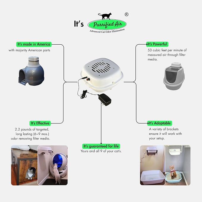 Official Filter Media Replacement Pack - Image 4