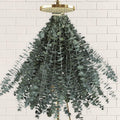 41 PCS Dried Preserved Eucalyptus Bundle by Oning