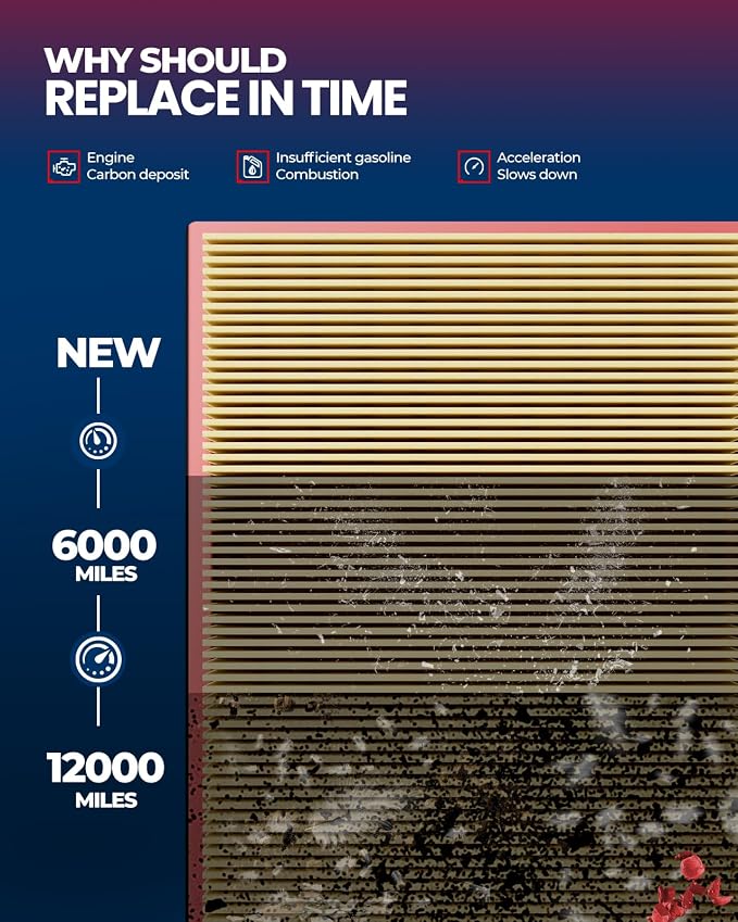 KAX Engine & Cabin Air Filter Kit - Image 5