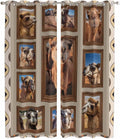 2 Panel Kitchen Cafe Curtains, Desert Camels Sunlight Filtering Nature Air by Hokiten