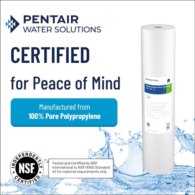 Pentair Pentek DGD-2501-20 Big Blue Water Filter, 20-Inch Whole House Sediment - Image 3
