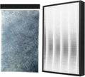 FZ-A40SFU Replacement True HEPA And Deodorizing Filter，Compatible by Unknown