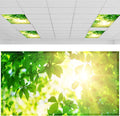 Patelai 4 x 2 Feet Fabric Fluorescent Light Cover by Patelai