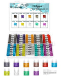 Riseuvo 250 Pcs Mini Fuse Kit by Riseuvo