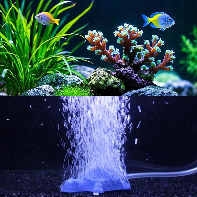 2 PCS Turtle Aquarium Bubble Air Stone Professional Aquarium Aerator Fish Tank - Image 6