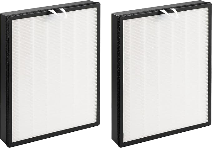 Fette Filter - 2 Pack Replacement Filter Compatible by Fette+Filter