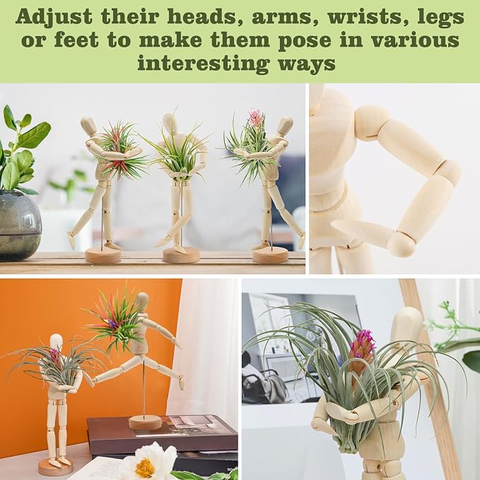 ANPHSIN 4 Pcs 8.6'' Wooden Air Plant Holder - Image 6