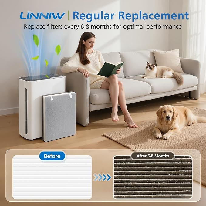 2 Pack Vital 100 Replacement Filter - Image 5