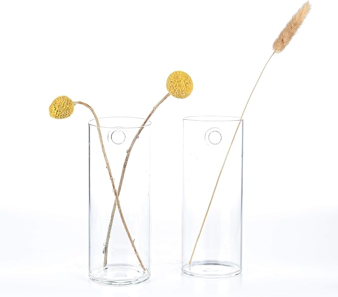 Kingbuy Short Cylinder Wall Planter 2 Pack, air plants, cuttings. Great gift - Image 4