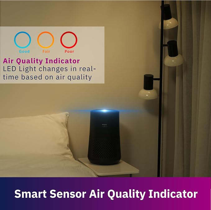 WINIX A230 Air Purifier for Bedroom Up to 1110 Ft² in 1 Hr - Image 6