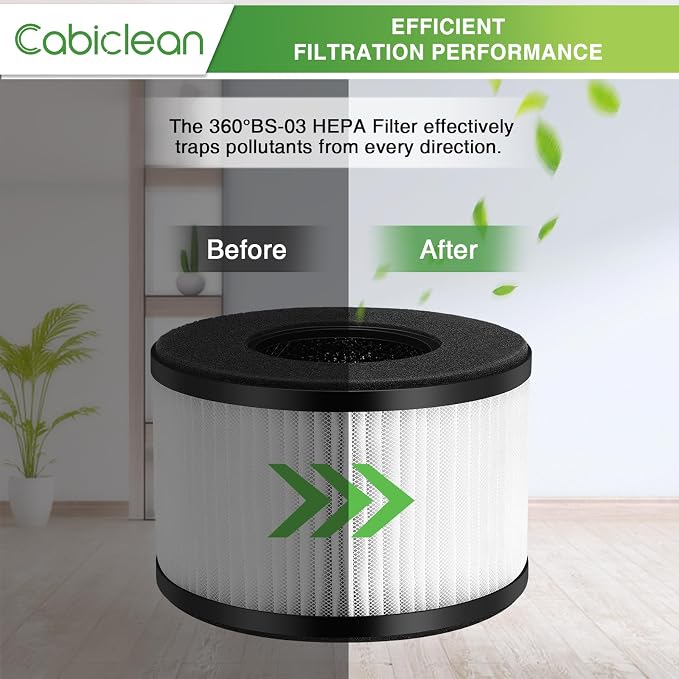 2 Pack BS-03 Replacement Filters - Image 5