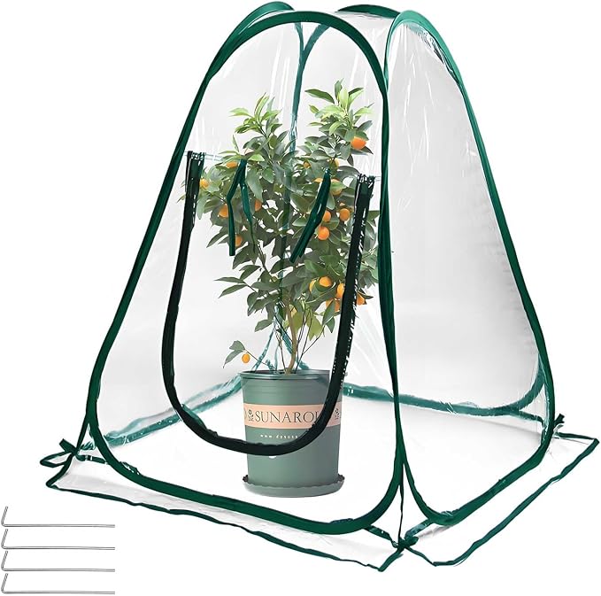 Plant Mini Greenhouse Pop Up Transparent Greenhouse Freeze Protection PVC Plant by Hkvoxim