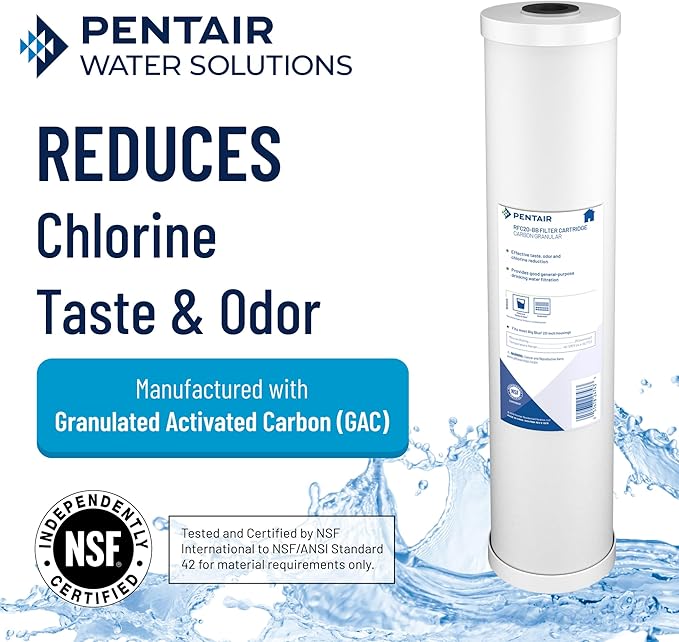 Pentair Pentek RFC-BB Big Blue Carbon Water Filter, Whole House Heavy Duty - Image 3