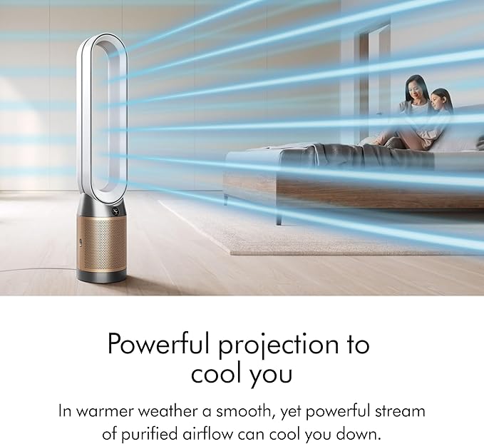 Dyson Purifier Cool PC2 De-NOx - Image 3