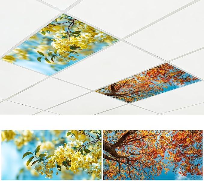 Fluorescent Light Covers-2 Pack 4 x 2 Feet Magnetic Ceiling Light Cover Room by BSFHH