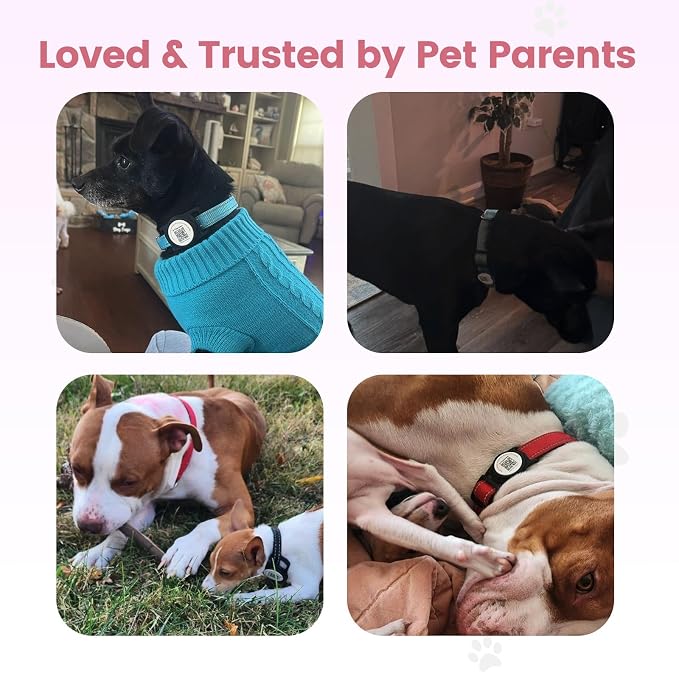 for AirTag Dog Collar Holder, Waterproof Smart QR Code - Image 7