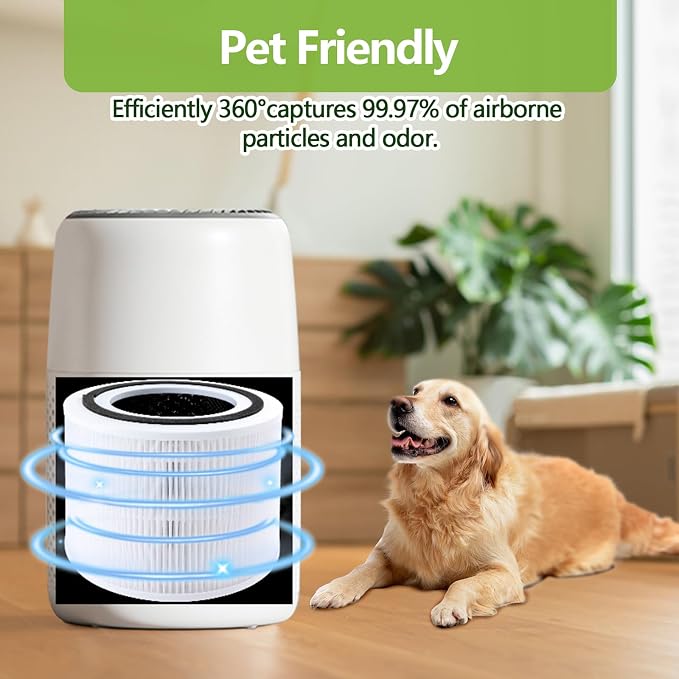 2 Pack Core 300 Replacement Filter Compatible - Image 4