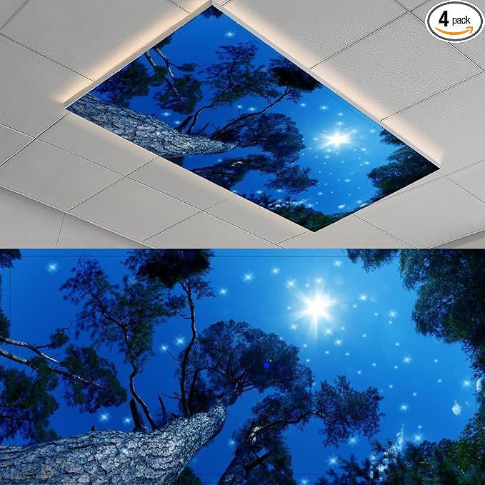 2 Pack Milky Way Fluorescent Light Cover by Unknown