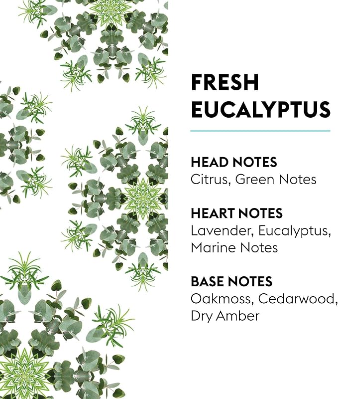 MAISON BERGER Lampe Berger Refill, 1 L, Fresh Eucalyptus | Catalytic Lamp - Image 2