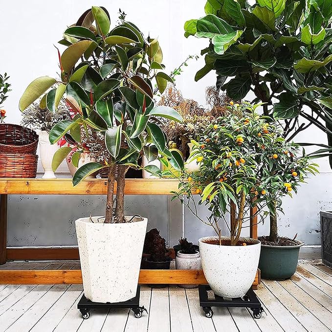 Heavy Duty Rolling Plant Stand Outdoor - Image 6