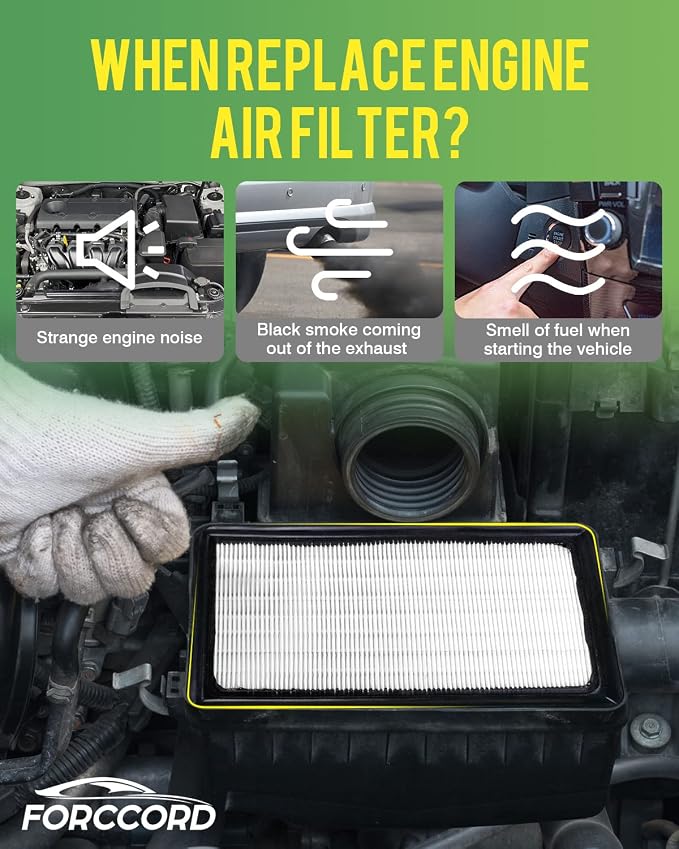 Cabin Air Filter and Engine Air Filter Fit - Image 7