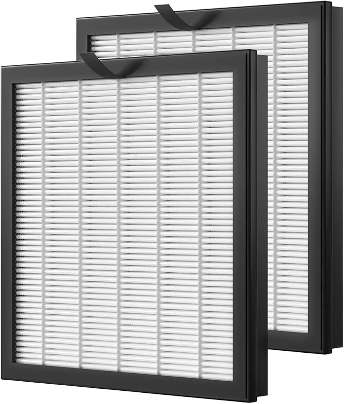 2 Pack G3 True HEPA Replacement Filter FXAP2W Compatible by Cooyafan